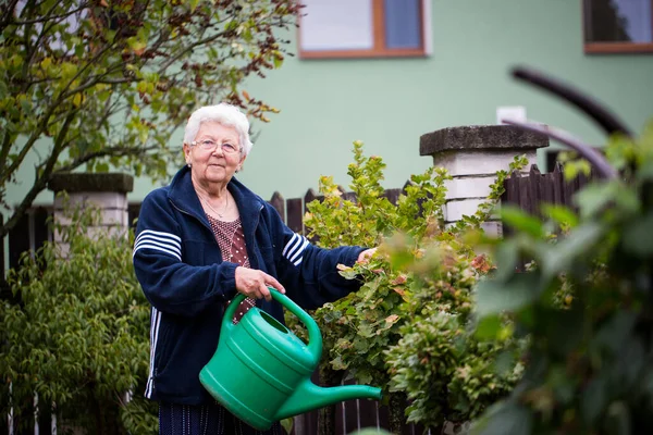 Jardinería de mujeres mayores, regando sus plantas y flores en su enorme jardín, concepto de jardinería — Foto de Stock