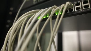 Sunucuları olan ağ sunucu odası, çalışan yüksek performanslı bilgisayarlar, It konsepti