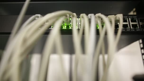 Netwerk serverruimte met servers, high performance computers draait processen, Het concept — Stockvideo