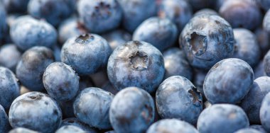 Taze, biyolojik yaban mersini, meyve konsepti.