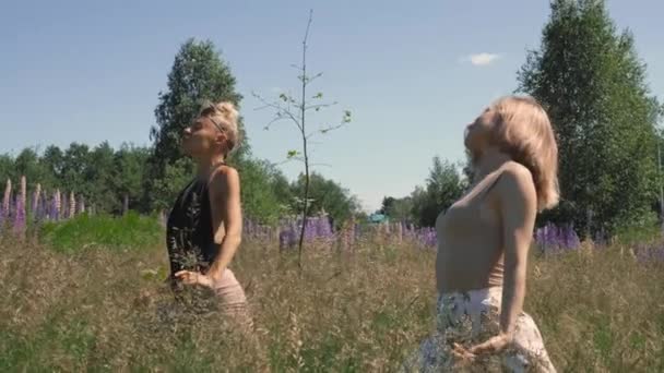 Dwie dziewczyny zaangażowane w medytację na polu zielonej trawy — Wideo stockowe