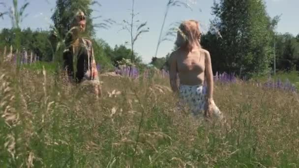 Дві дівчини займаються медитацією на полі зеленої трави — стокове відео