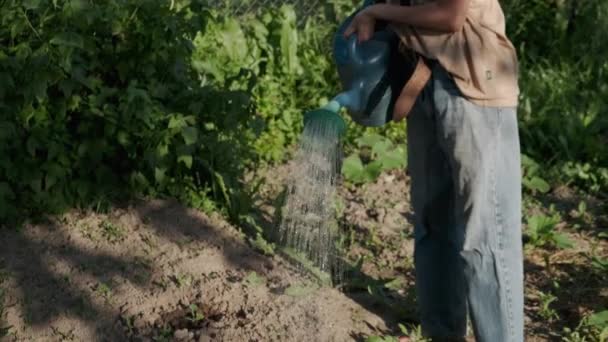 Chica toma la regadera con agua y riego — Vídeo de stock