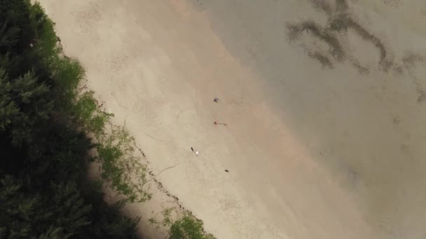 Piknik na plaży dziewczyna i mężczyzna, widok z drona z podejścia — Wideo stockowe