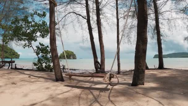 Balanço vazio balançando no mar, em árvores, na praia arenosa — Vídeo de Stock