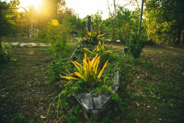 Old Rusak Perahu Kayu Ditumbuhi Dengan Bunga Dan Rumput — Stok Foto