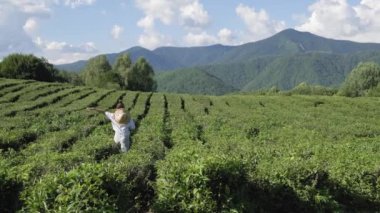 Hasır şapkalı bir kız çay tarlasında yürüyor.