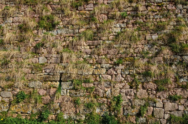 Eski Bir Kale Duvarının Parçası Duvar Taş Bloklardan Yapılmıştır Çimlerle — Stok fotoğraf