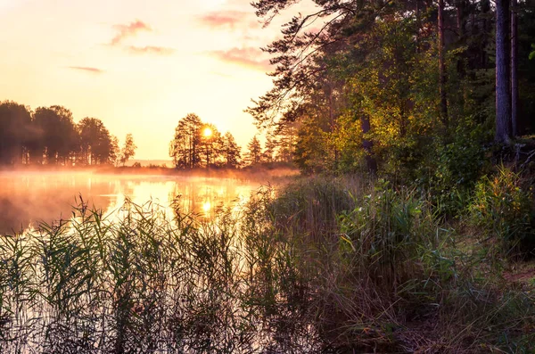 Natural Landscape Rising Sun Lake Sun Shines Crown Tree Reflected — Stock Photo, Image
