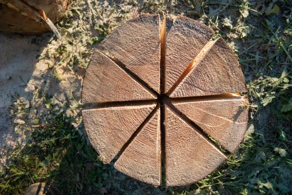 Blick Von Oben Auf Ein Vorbereitetes Lagerfeuer Aus Einem Baumstamm — Stockfoto