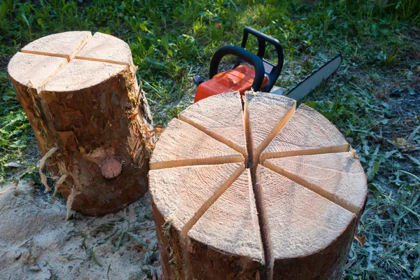 The stage of preparing a bonfire from one log is a Finnish candle. There are two blanks with cuts and a chainsaw. In the foreground is a finished Finnish candle. Background.
