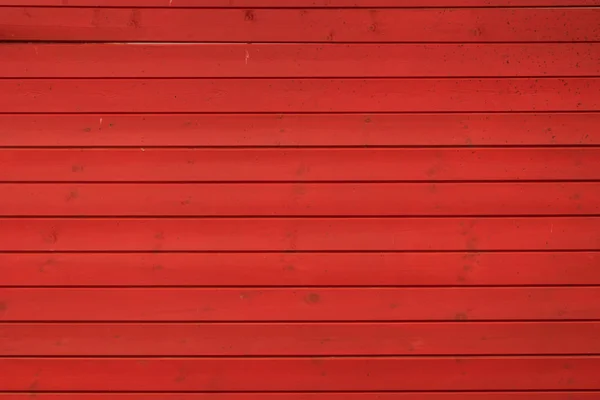 Eski mavi bir kayık kumlu bir sahilde uzanıyor. Plaj ve suyun yüzeyi sarı sonbahar yapraklarıyla doludur. Arka planda ağaçlar var..