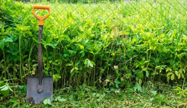 Turuncu saplı çelik bir kürek uzun yeşil çimenlerin arka planında duruyor. Metal bir ağ çiti var. Arkaplan.