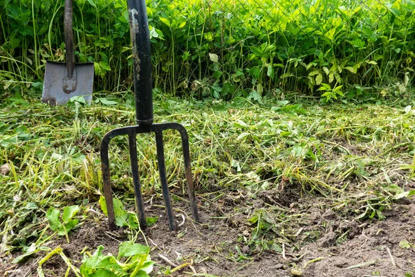 Les Fourches Jardin Sont Coincées Dans Sol Terre Noire Est — Photo