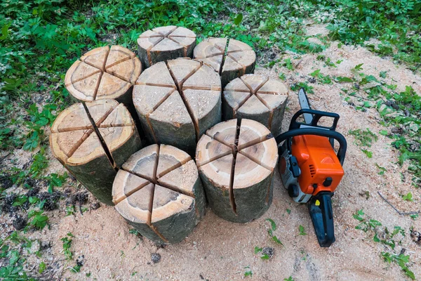 Birkaç ahşap blok daire içine alınır. Yakınlarda bir elektrikli testere var. Fin mumu yapmak için yıldız şeklinde kesikler yapılır. Arkaplan.