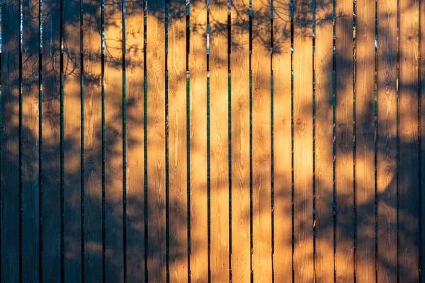 Ett Trästaket Bruna Plankor Lyser Upp Solen Skuggor Från Tallkvistar — Stockfoto