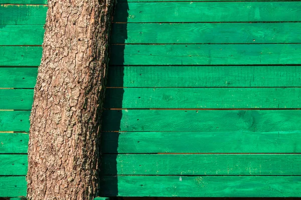 Pared Madera Verde Tablones Horizontales Hay Tronco Árbol Construido Pared — Foto de Stock