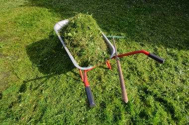 Çimlerin üzerinde kesilmiş çimlerle dolu bir bahçe arabası duruyor. Yalan söyleyen bir tırmık var. Bahçıvanlık işi. Arkaplan.