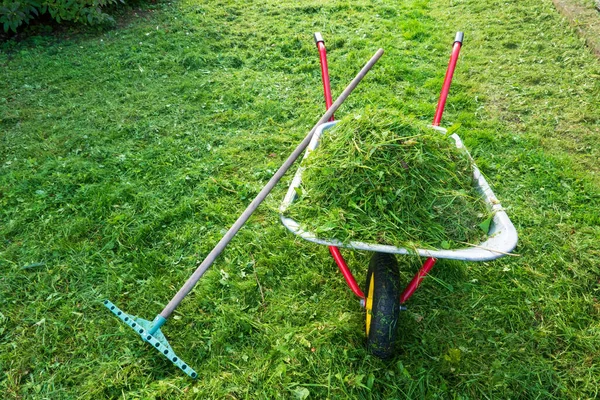 Una Carriola Giardino Con Maniglie Rosse Sul Prato Falciato Mucchio — Foto Stock