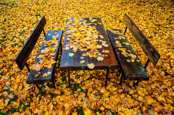 Eski bir bahçe masası, iki bank ve yer düşmüş sarı yapraklarla kaplı. Koyu ahşap parçalar yağmurdan ıslanmış. Geçmişi. Doku.