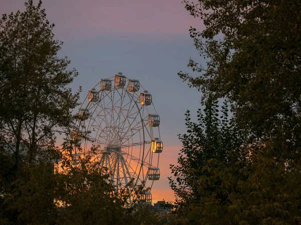 Riesenrad bei Sonnenuntergang mit bewölktem Himmel zwischen Bäumen — Stockfoto