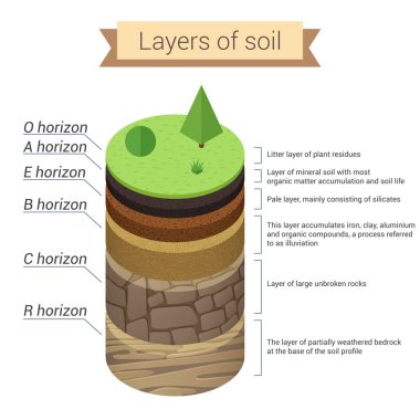 Soil layers. Soil is a mixture of plant residue and fine mineral particles, which form layers. Vector diagram clipart