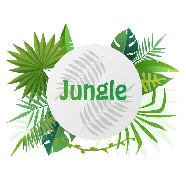 Banner de plantilla de vector tropical Ilustración. Plantas exóticas de fondo, diseño de selva tropical con hojas tropicales . — Vector de stock