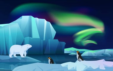 Karikatür vektör Doğa Kış Arktik buz peyzaj dağlar tepeler buzdağı ile kar. Aurora borealis ile kutup gece Kuzey ışıkları. Beyaz ayı ve penguenler.