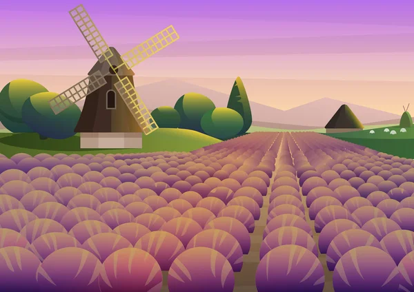 Kleurrijke afbeelding met paarse Lavendel veld met oude windmolen op achtergrond van avondrood. — Stockvector