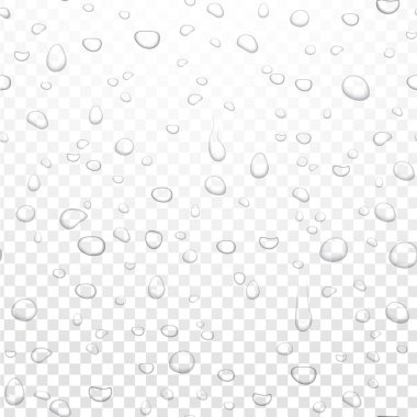 Alfa şeffaf arka plan üzerinde gerçekçi vektör su yağmur damlaları. Sıkıştırılmış saf damlacıkları. Vektör temiz su kabarcıkları pencere camına.