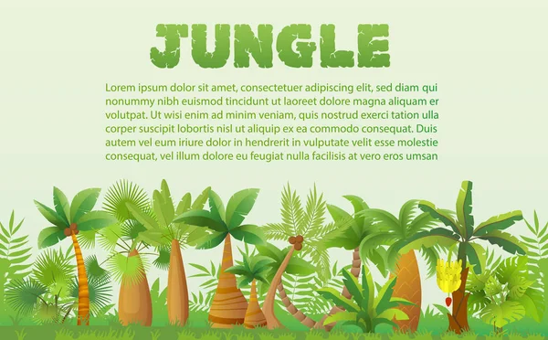 Vector regenwoud palmbomen met andere landschap van tropische en exotische planten. Weelderige bos jungle boom. — Stockvector