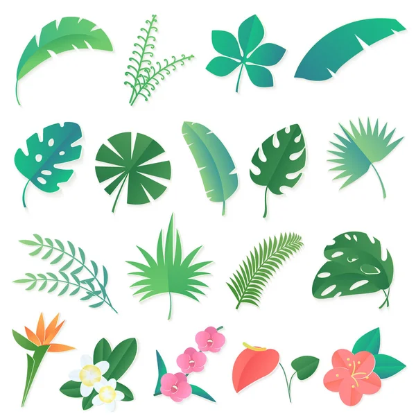 Ensemble de dessins animés vectoriels de feuilles tropicales isolées. Palmier, feuille de banane, hibiscus, fleurs de plumeria . — Image vectorielle