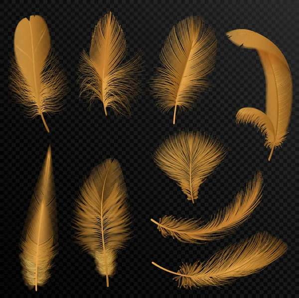 Realistic luxury golden tribal feathers set isolated on black. — Stock Vector