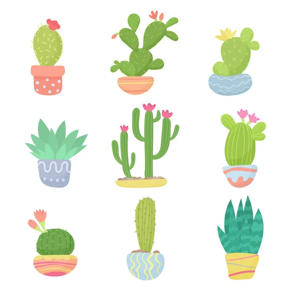 Set di fumetto piatto carino deserto o casa pot cactus vettoriale illustrazione . — Vettoriale Stock