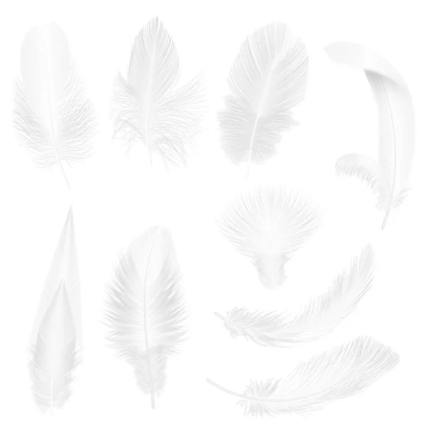 Realistische weiche weiße Federn isoliert auf weißer Vektorabbildung. — Stockvektor