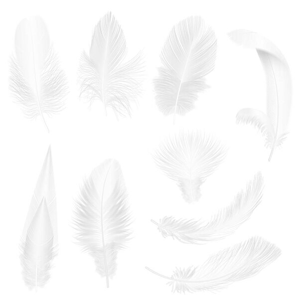 Реалистичные мягкие белые перья, изолированные на белой векторной иллюстрации
.