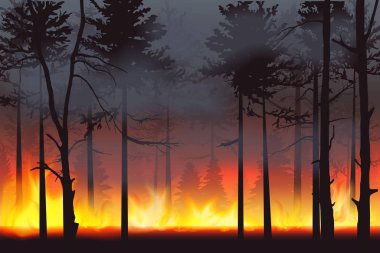 Gerçekçi siluet orman yangını orman yangın felaketi manzara vektör çizim.