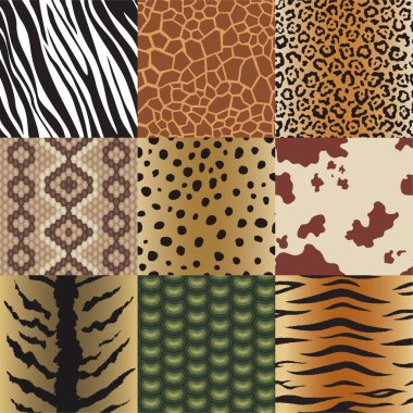 Kesintisiz hayvan cilt desenleri kümesi. Safari Tekstil zürafa, kaplan, zebra, leopar, sürüngen, inek, yılan ve jaguar arka plan koleksiyonu vektör çizim.