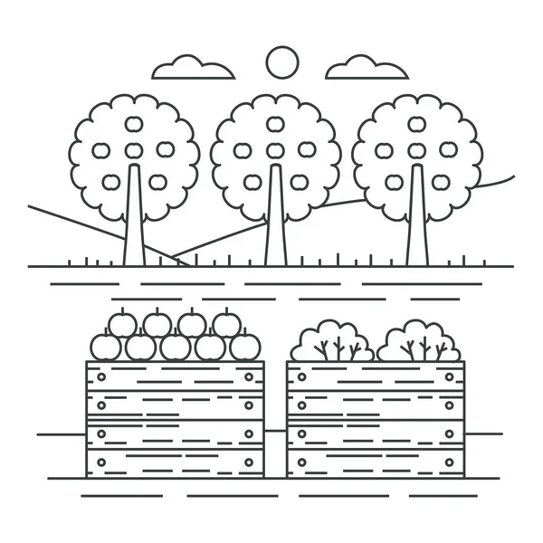 Thin ligne style fruits jardin jardin concept avec caisse en bois de pommes illustration vectorielle . — Image vectorielle
