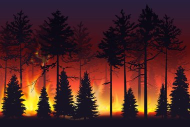 Gece ormanda vahşi ateş. Doğal afet. Orman yangını. Siyah siluet ağaçlar yangın gerçekçi illüstrasyon vektör.