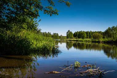Bahar güneşi nehirde