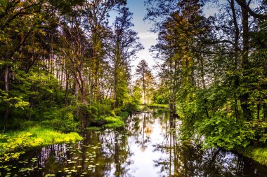 Bahar güneşi nehirde