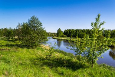 Bahar güneşi nehirde