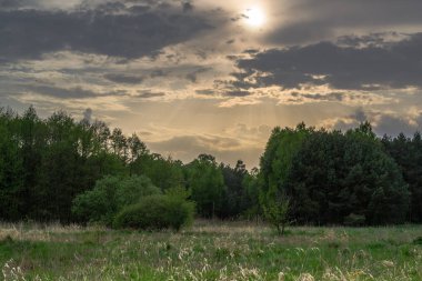 Peyzaj Parkı'nda doğal çevre, Polonya
