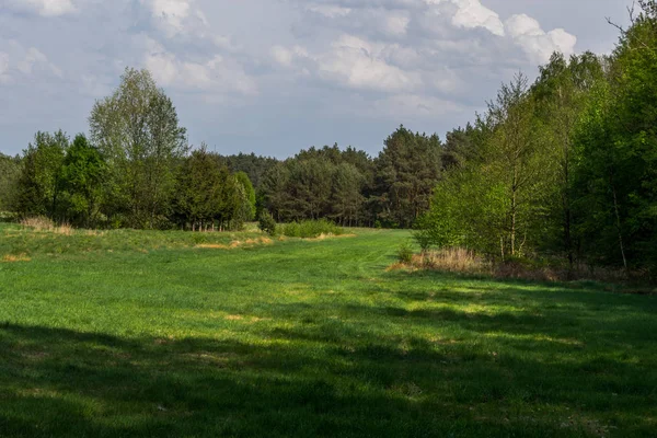 Ambiente Natural Parque Paisagem Polónia — Fotografia de Stock