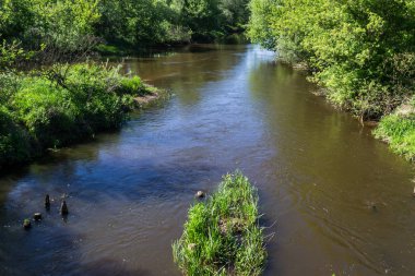 Vahşi bir nehir merkezi Polonya'da akan