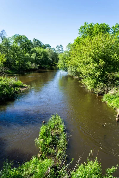 Дикая Река Текущая Центральной Польше — стоковое фото