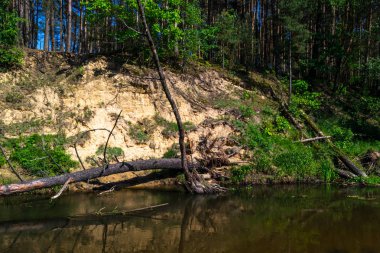 Nehir bir güneşli bahar gününde.