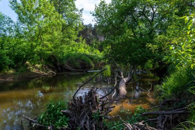 Nehir bir güneşli bahar gününde.