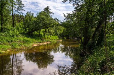 Nehir bir güneşli bahar gününde.